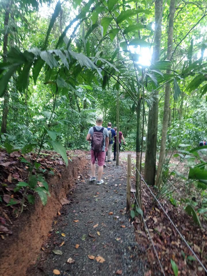 Group hiking through jungle trail in Costa Rica